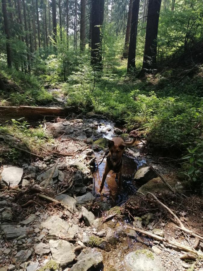 Modernisierte Ferienwohnung Im Schoenen Sauerland Meschede Bagian luar foto