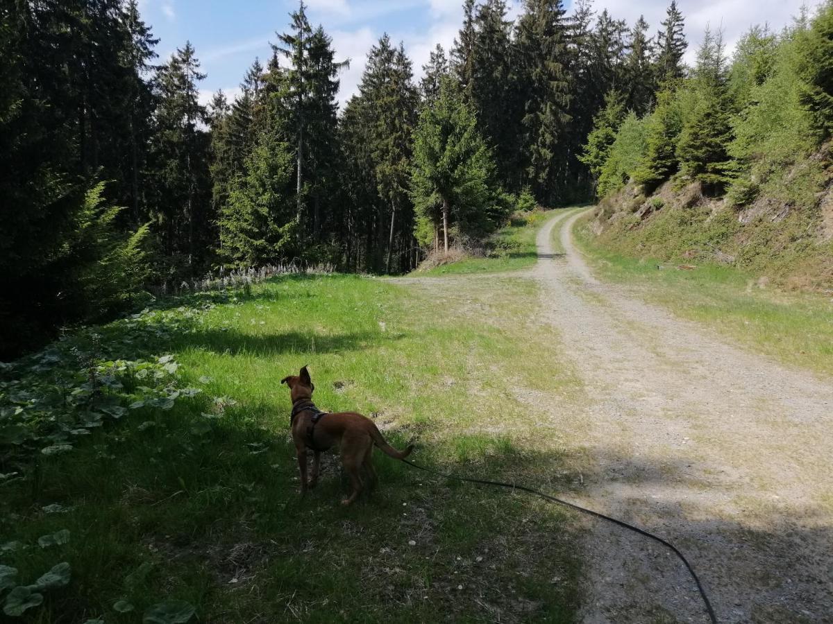 Modernisierte Ferienwohnung Im Schoenen Sauerland Meschede Bagian luar foto