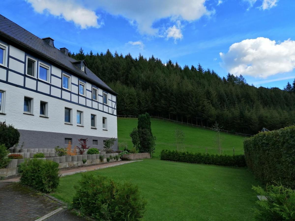 Modernisierte Ferienwohnung Im Schoenen Sauerland Meschede Bagian luar foto